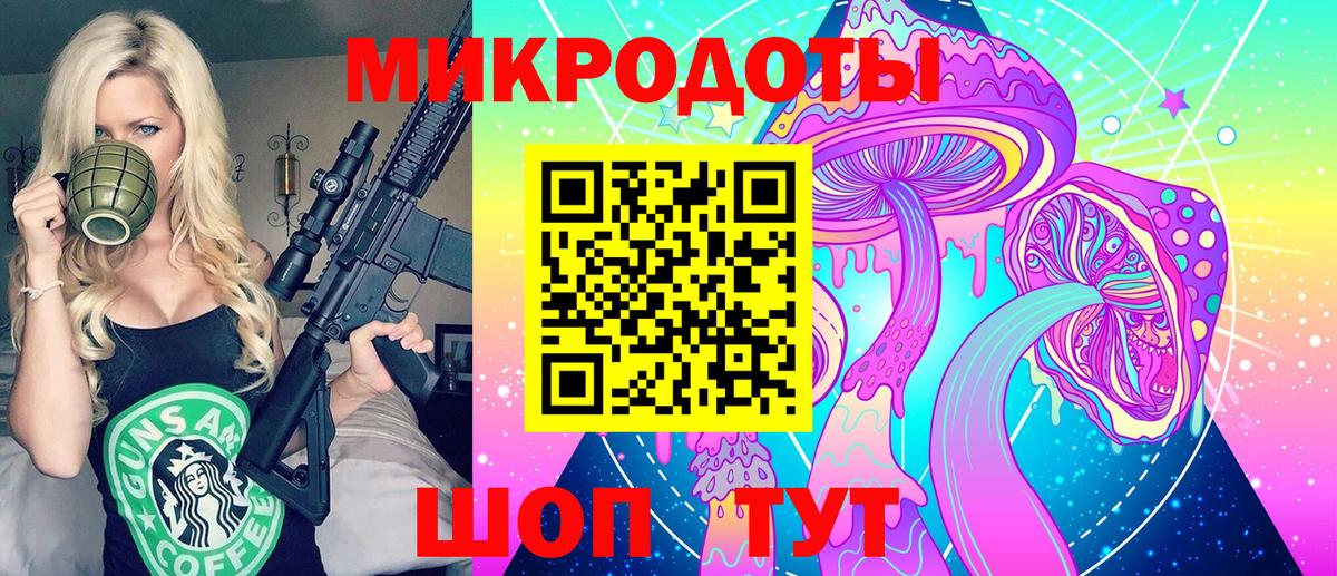 Псилоцибиновые грибы Psilocybe Тихорецк
